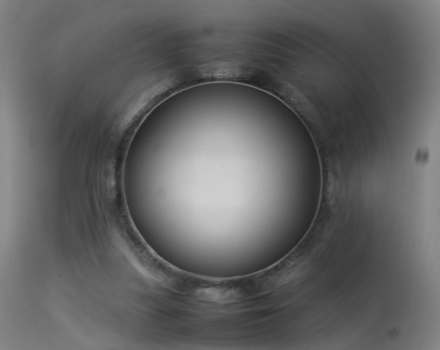 X0000114140251200910151616