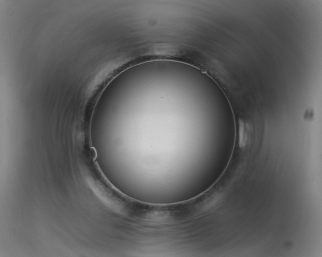 X0000114140252200910151616