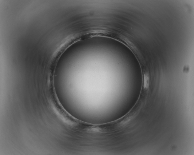 X0000114140253200910151616