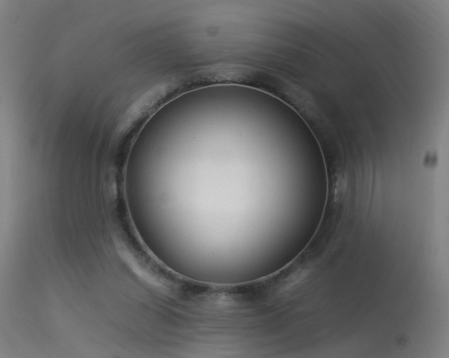 X0000114140254200910151616