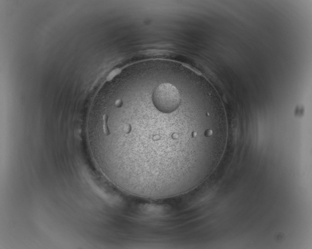 X0000114140255200910151616