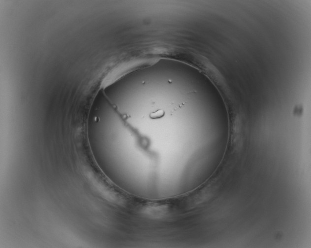 X0000114140257200910151616