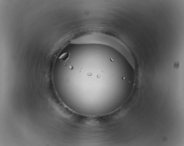 X0000114140258200910151616