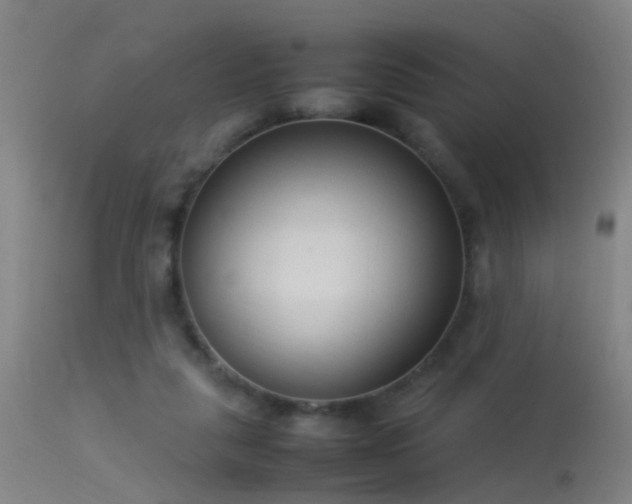 X0000114140259200910151616