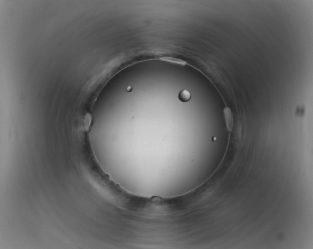 X0000114140260200910151616