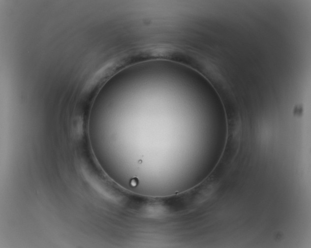 X0000114140262200910151616