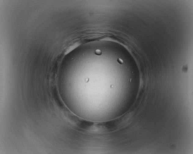 X0000114140270200910151617