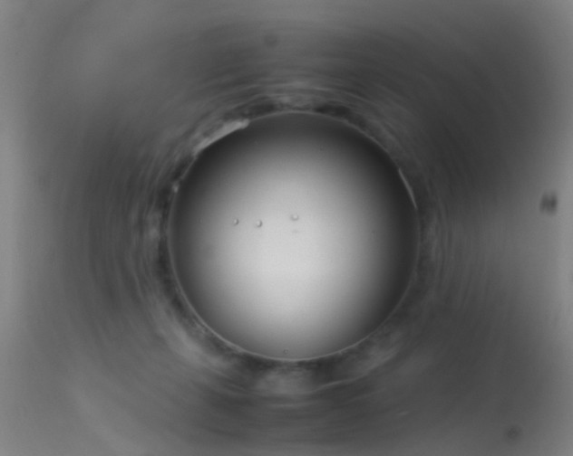 X0000114140271200910151617