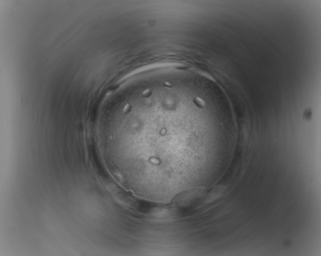 X0000114140274200910151617