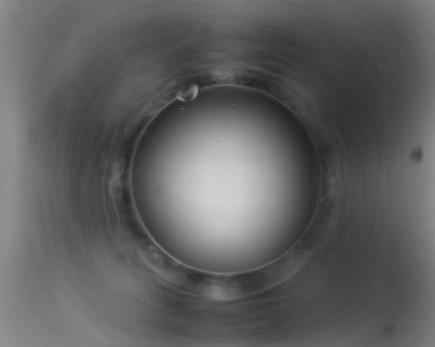 X0000114140275200910151617