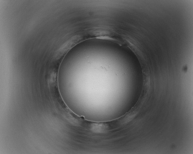 X0000114140281200910151617