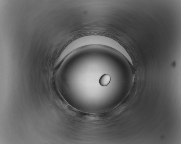 X0000114140284200910151617