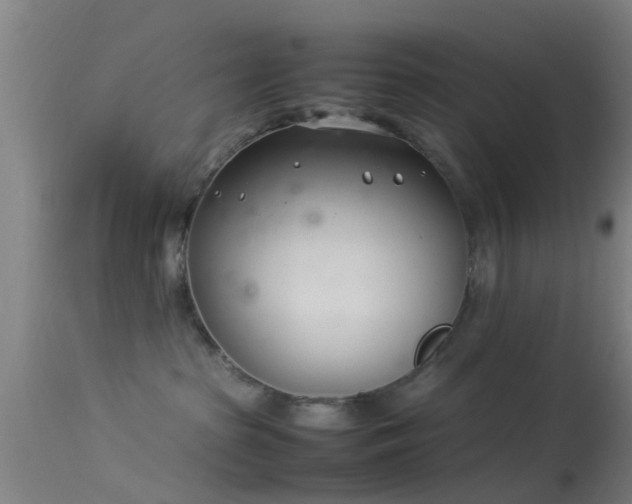 X0000114140285200910151617