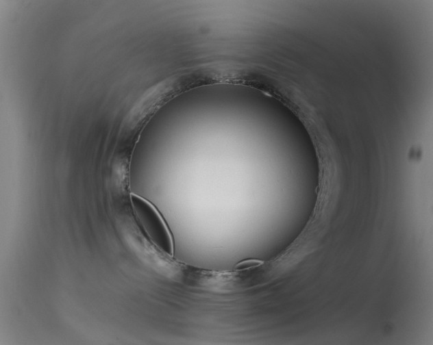 X0000114140288200910151617