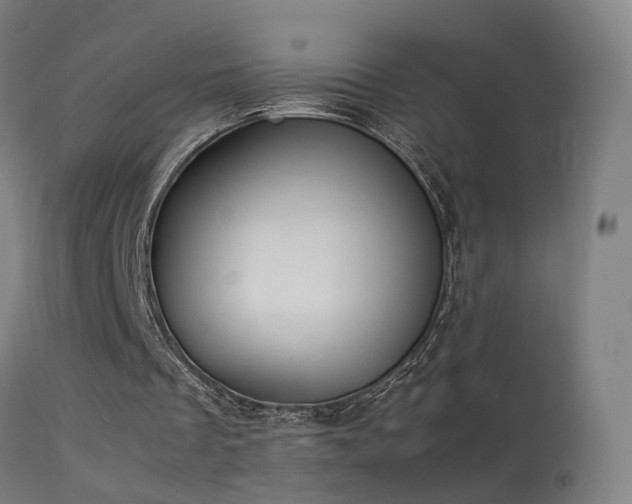 X0000114140289200910151616