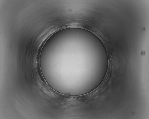 X0000114140290200910151616