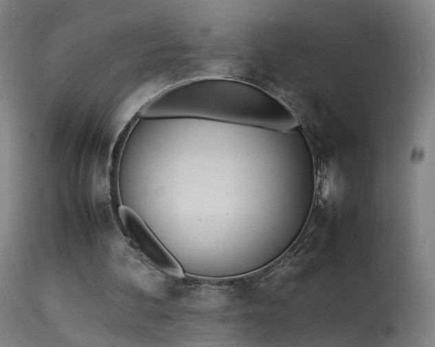 X0000114140292200910151616