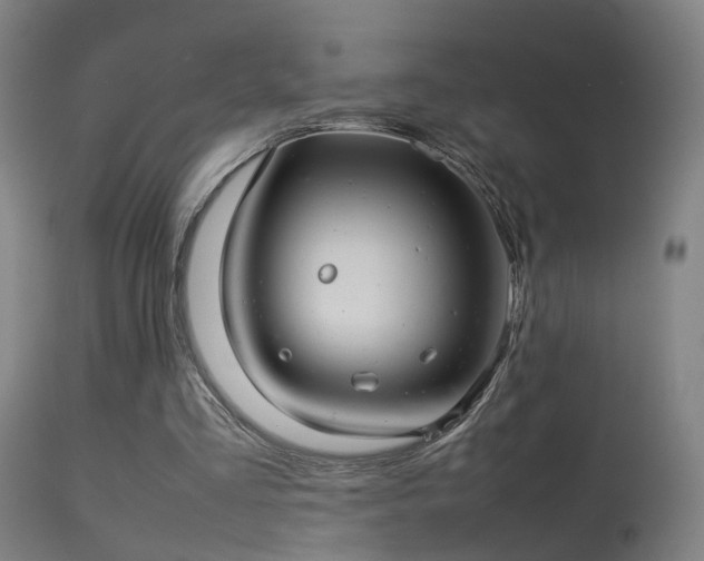 X0000114140293200910151616