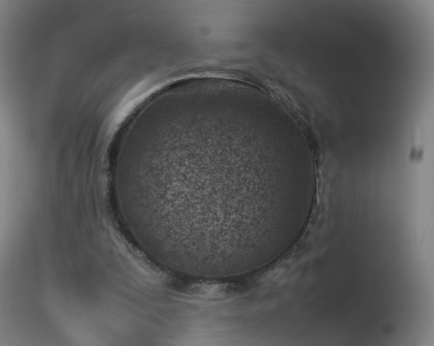 X0000114140295200910151616