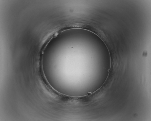 X0000114140299200910151616