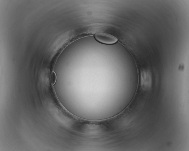 X0000114140300200910151616