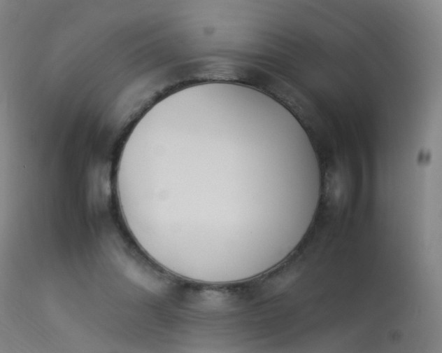 X0000114140302200910151616