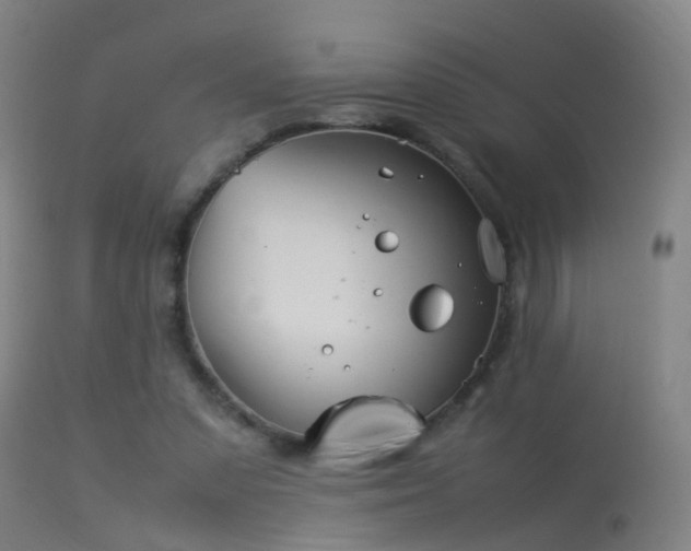 X0000114140303200910151616