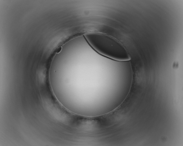 X0000114140304200910151616