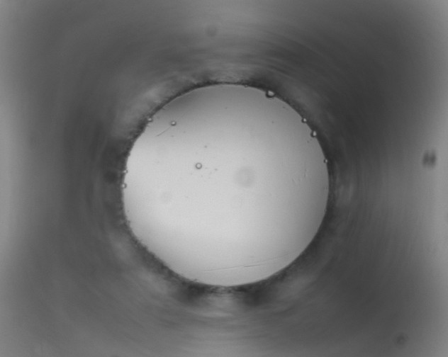 X0000114140307200910151616