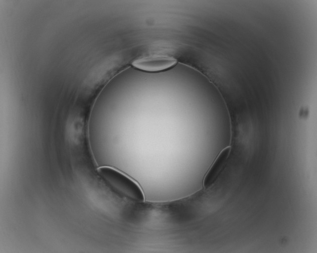 X0000114140308200910151616