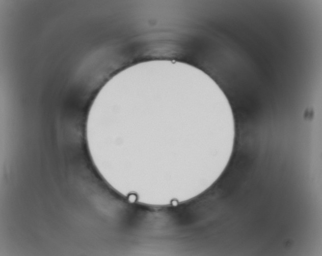 X0000114140309200910151616