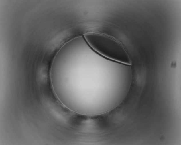 X0000114140312200910151616