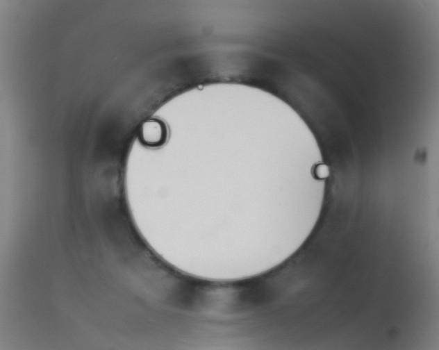 X0000114140313200910151616