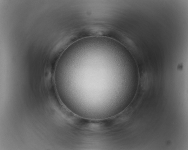 X0000114140314200910151616