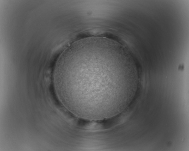 X0000114140319200910151616