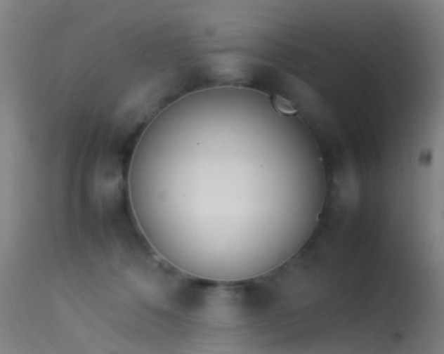 X0000114140320200910151616