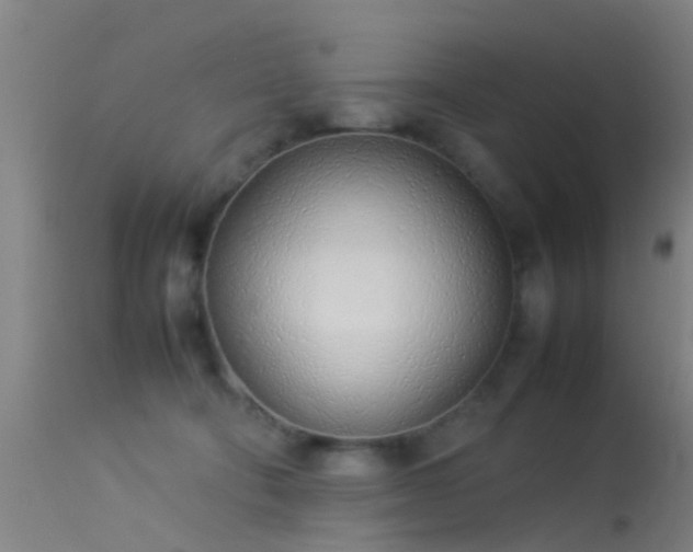 X0000114140322200910151616