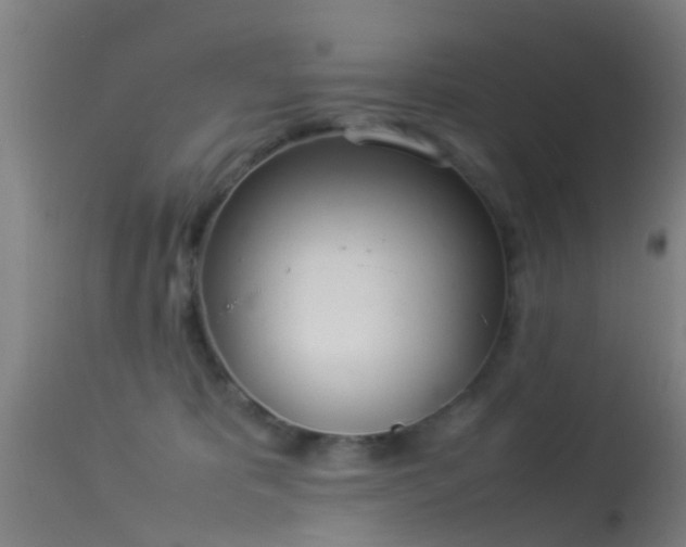 X0000114140325200910151616