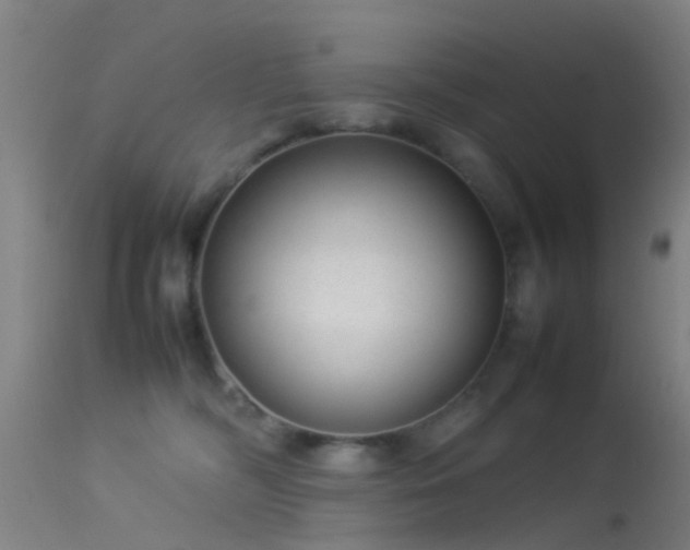 X0000114140326200910151616