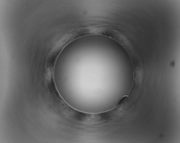 X0000114140329200910151615