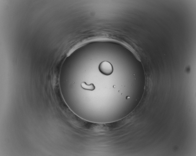 X0000114140331200910151615