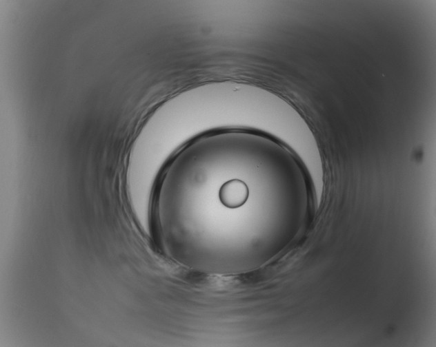 X0000114140333200910151615