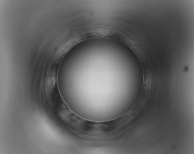 X0000114140334200910151615