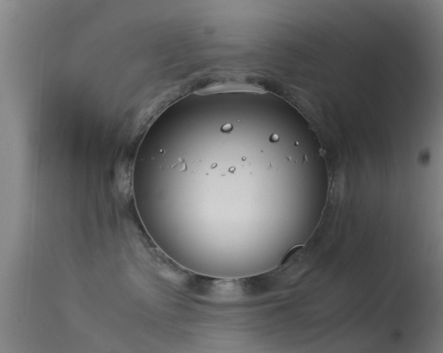 X0000114140335200910151615