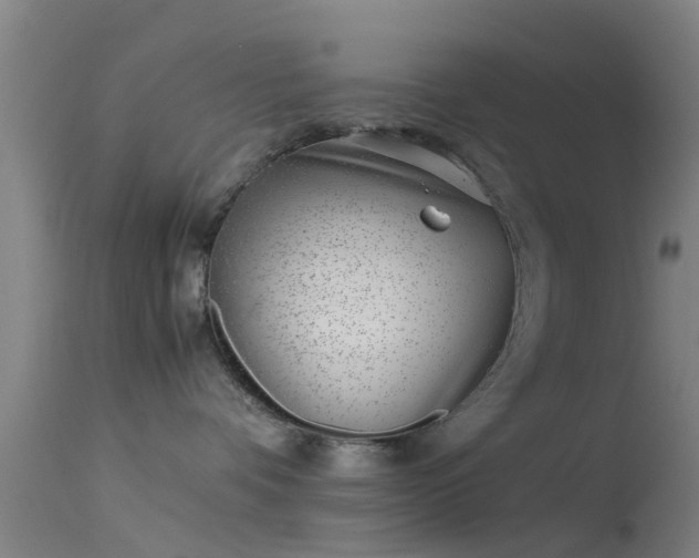 X0000114140336200910151615