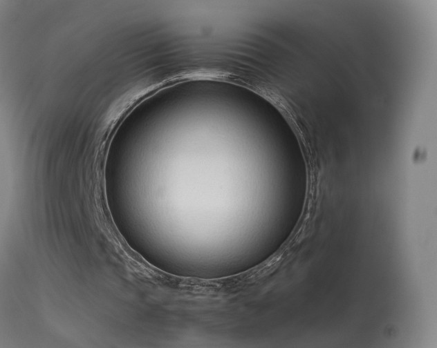 X0000114140337200910151614