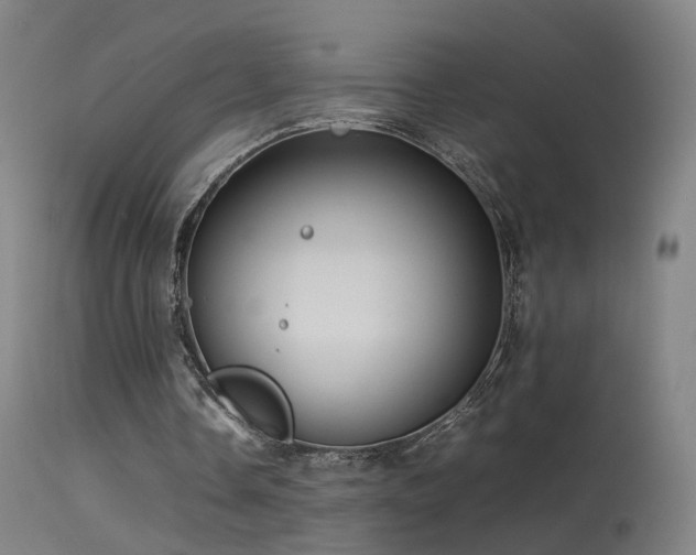 X0000114140338200910151614