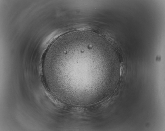 X0000114140339200910151614