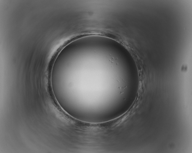 X0000114140342200910151615