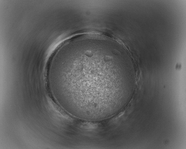 X0000114140343200910151615